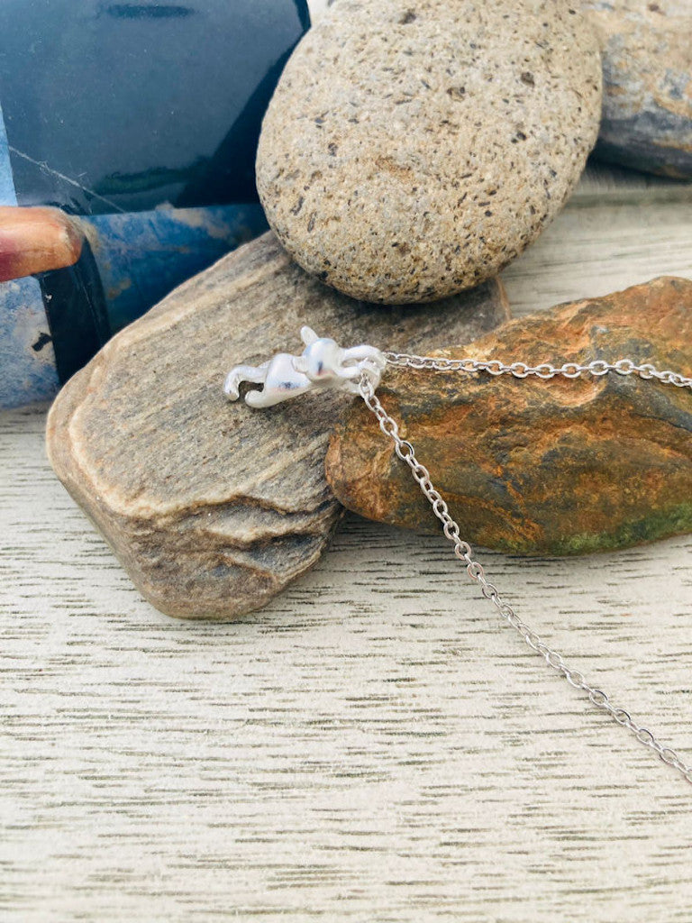 Cadena de plata dije gato